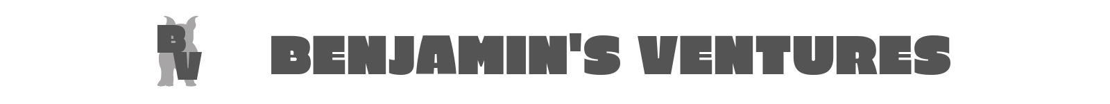 Copy of Benjamin's ventures banner (ALL)